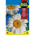 Fito Chrysanth.leucanthemum Alaska - THE GARDEN CENTRE