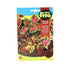 Fito Coleus rainbow mixed - THE GARDEN CENTRE