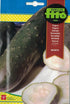 Fito Cucumber Ashley - THE GARDEN CENTRE