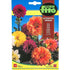 Fito Dahlia Decorative mixed - THE GARDEN CENTRE
