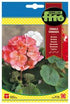 Fito Geranium Zonal mixed - THE GARDEN CENTRE