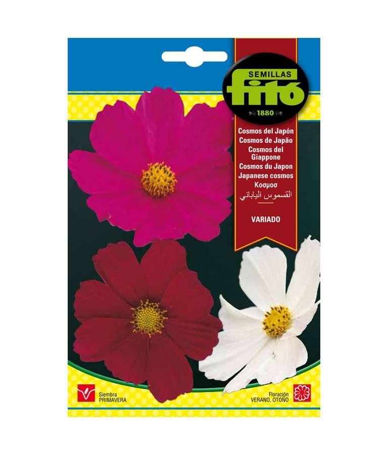 Fito Japanese cosmos mixed - THE GARDEN CENTRE