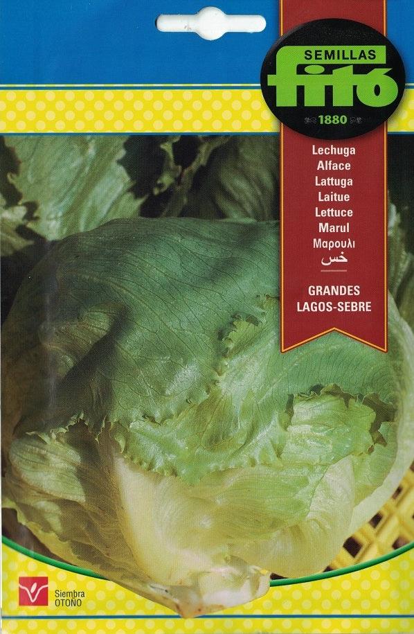 Fito Lettuce Great lakes- California - THE GARDEN CENTRE