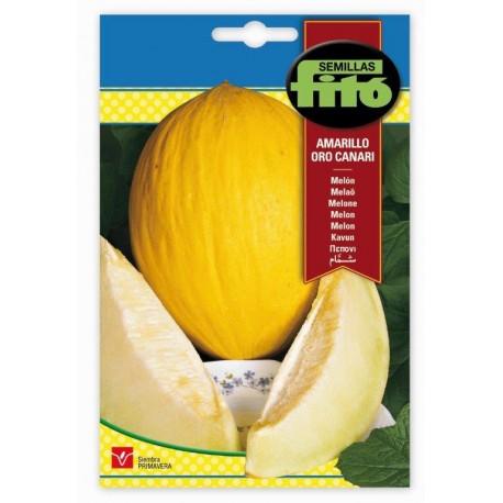 Fito Melon Amarillo Oro- canari - THE GARDEN CENTRE