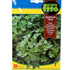 Fito Parsely giant - THE GARDEN CENTRE