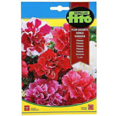 Fito Petunia multi flora hybrid double mix - THE GARDEN CENTRE