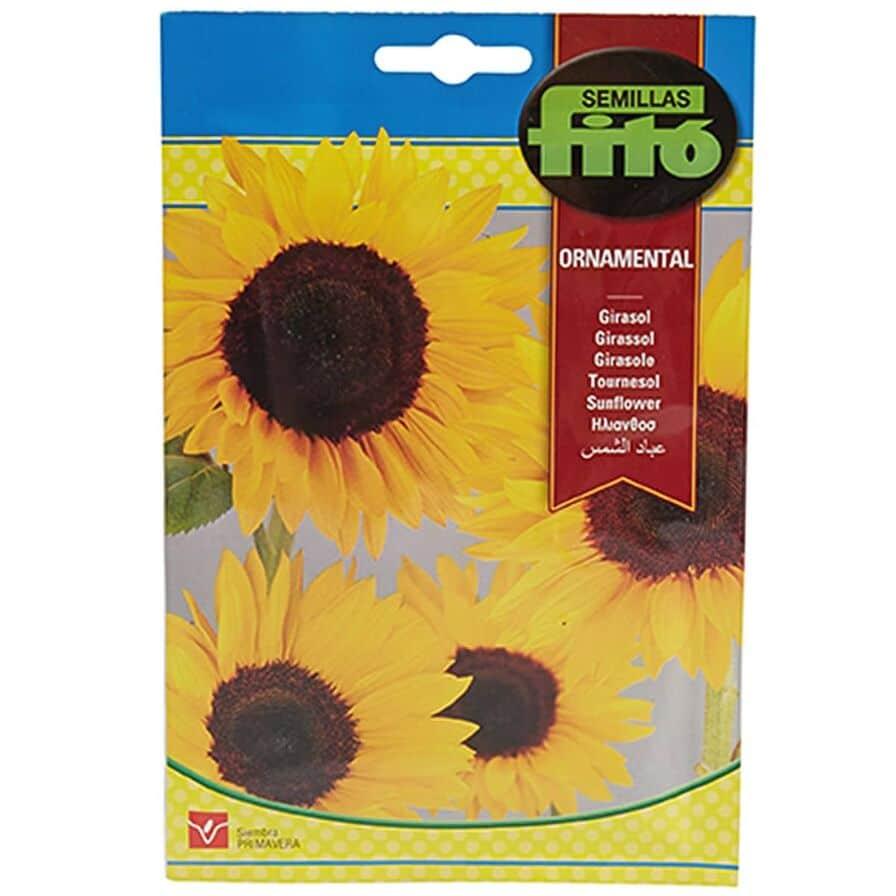 Fito Sunflower ornamental - THE GARDEN CENTRE