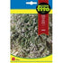 Fito Thyme - THE GARDEN CENTRE
