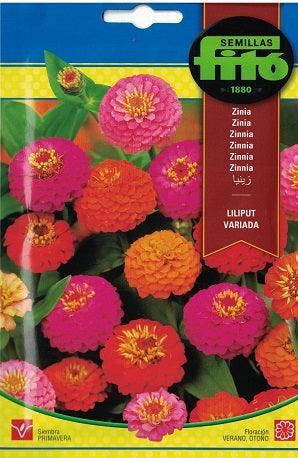 Fito Zinnia lilliput mix - THE GARDEN CENTRE