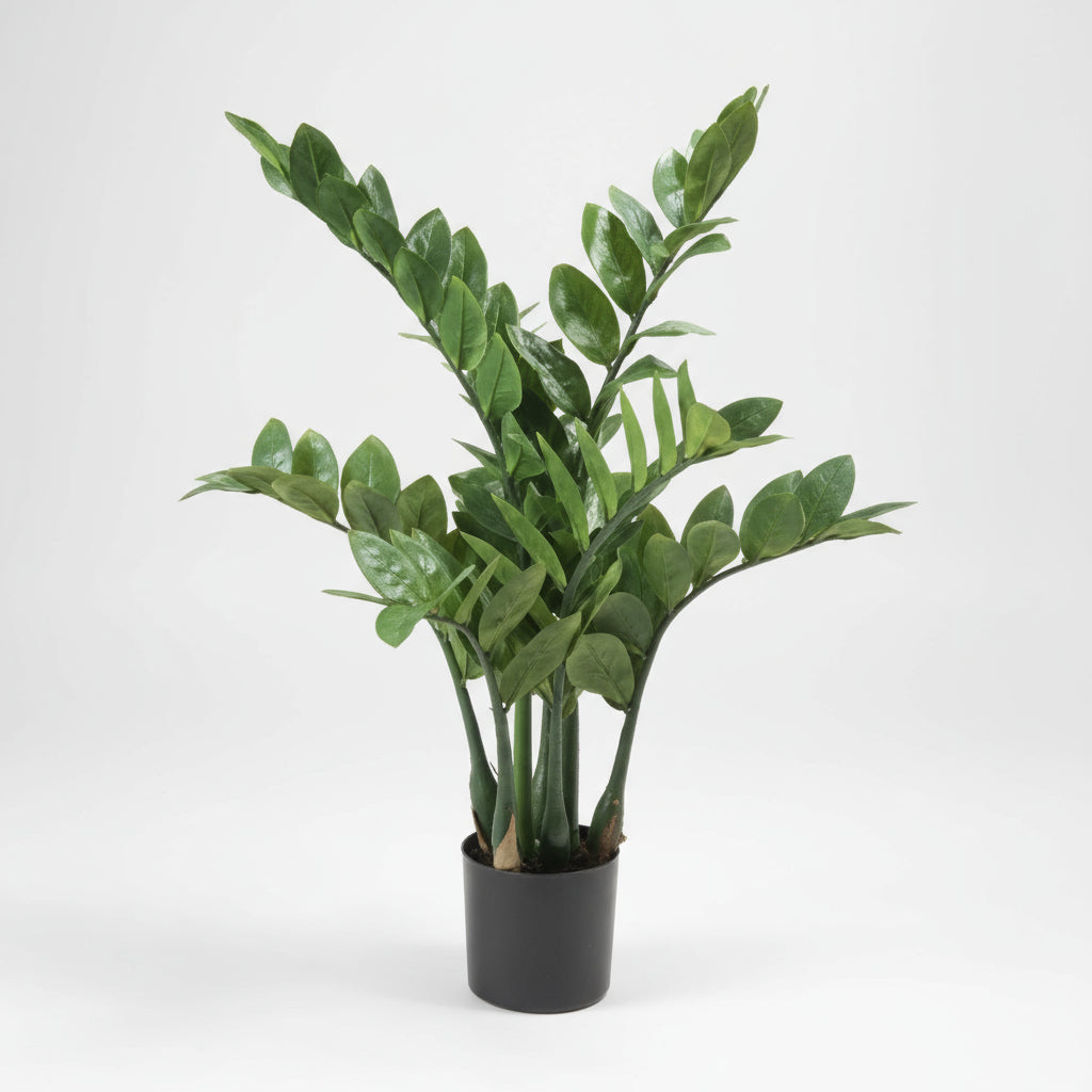 Artificial Zamioculcas Zamiifolia