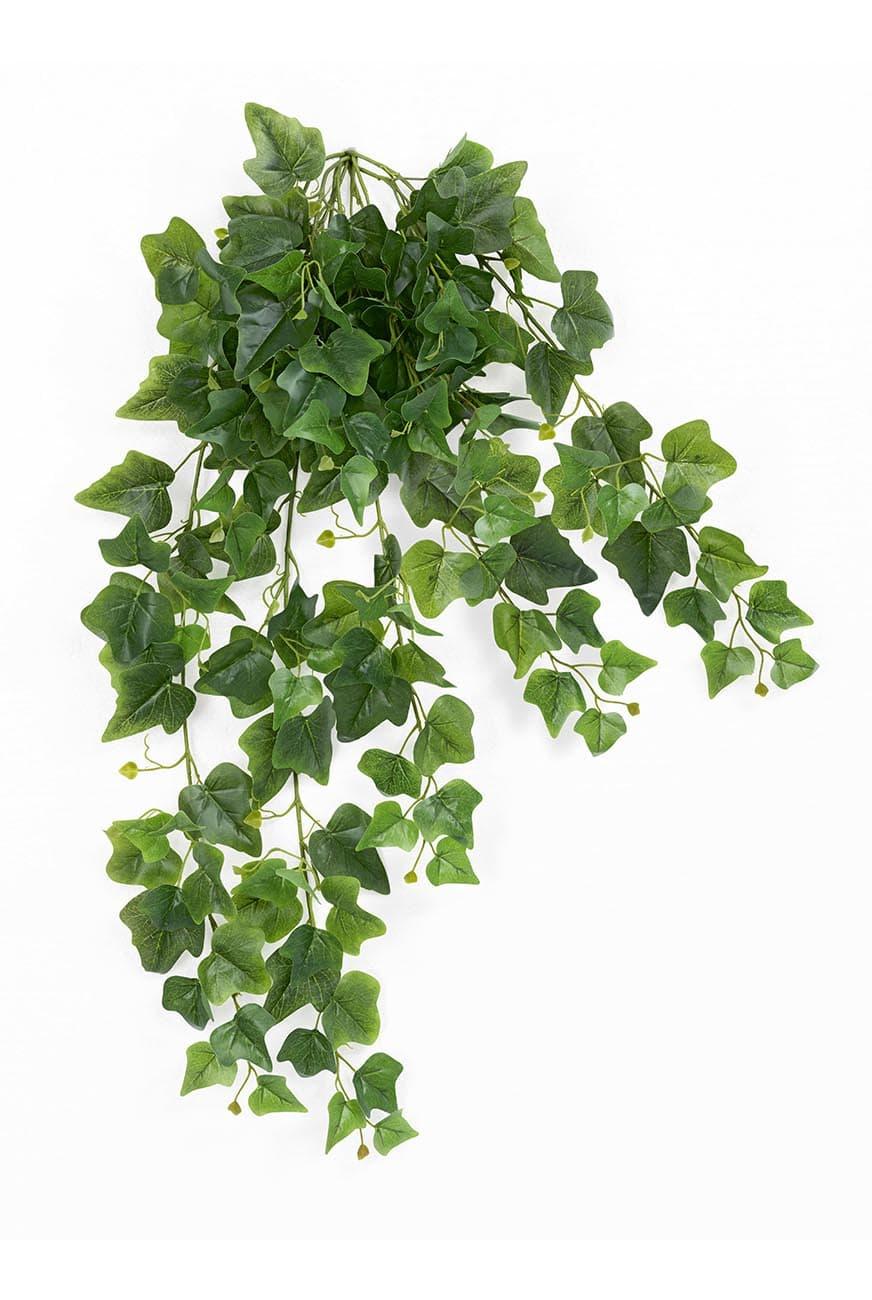 Hedera Plant Artificial - THE GARDEN CENTRE