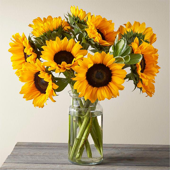 HONEY BEE SUNFLOWER BOUQUET - THE GARDEN CENTRE