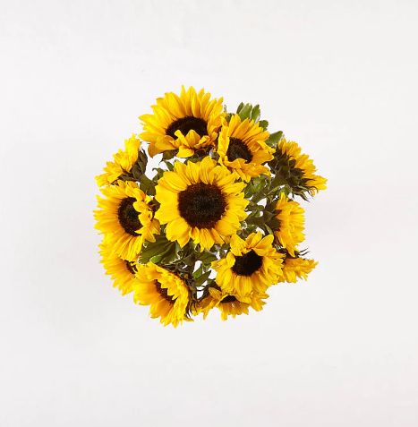 HONEY BEE SUNFLOWER BOUQUET - THE GARDEN CENTRE
