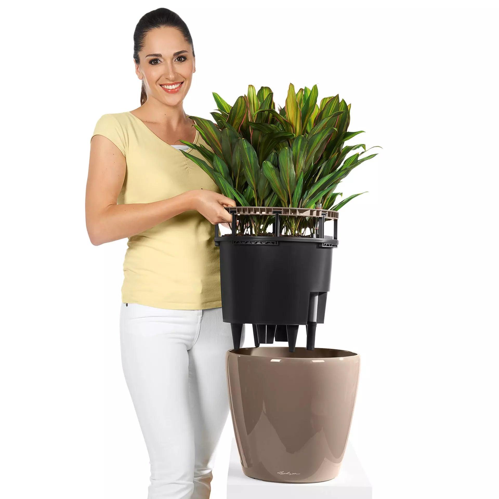 Lechuza Classico - THE GARDEN CENTRE