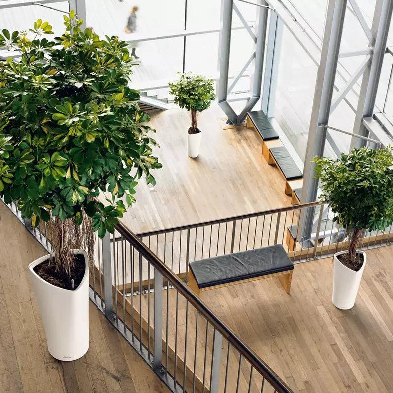 Lechuza Delta Premium - THE GARDEN CENTRE