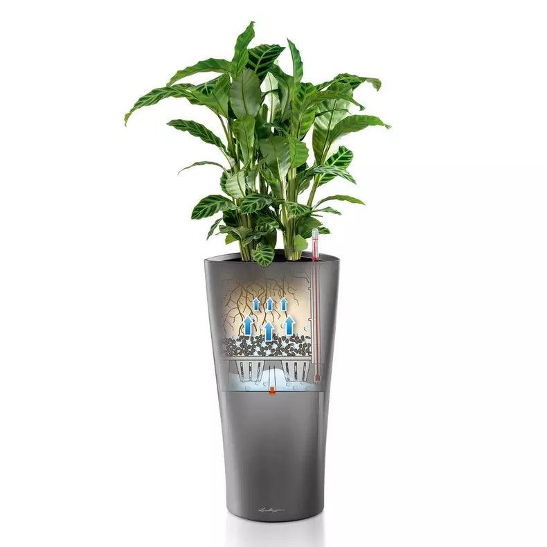Lechuza Delta Premium - THE GARDEN CENTRE