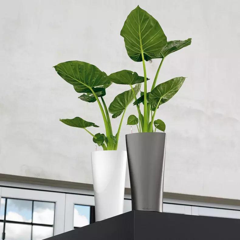 Lechuza Delta Premium - THE GARDEN CENTRE