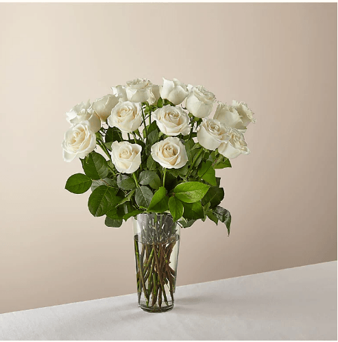 LONG STEM WHITE ROSE BOUQUET - THE GARDEN CENTRE