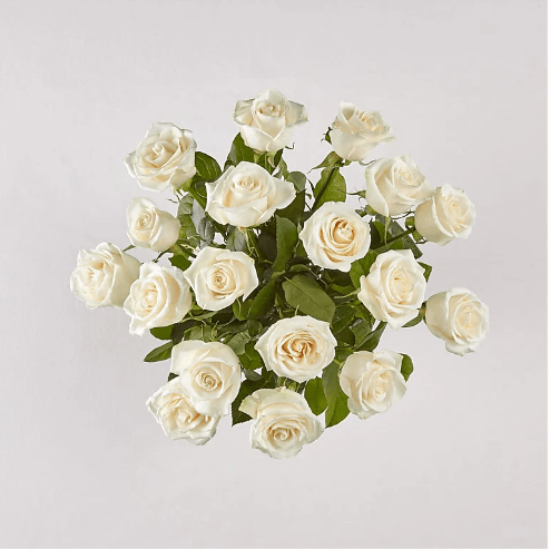 LONG STEM WHITE ROSE BOUQUET - THE GARDEN CENTRE