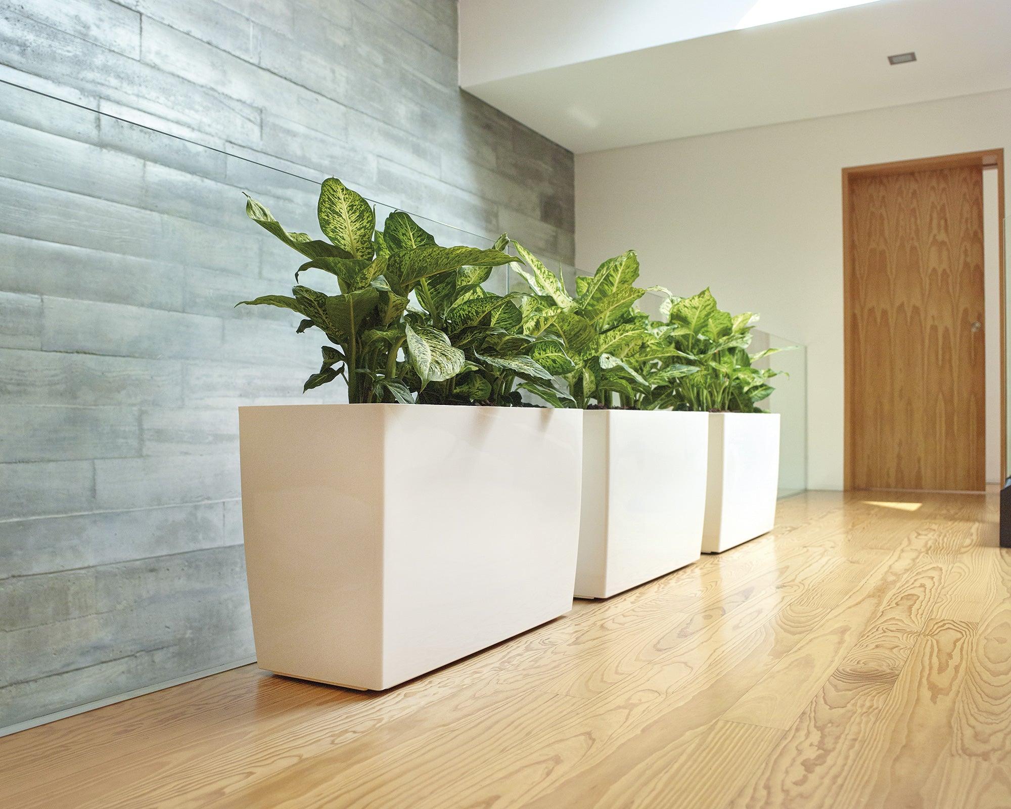 Marbella Rectangular planter - THE GARDEN CENTRE