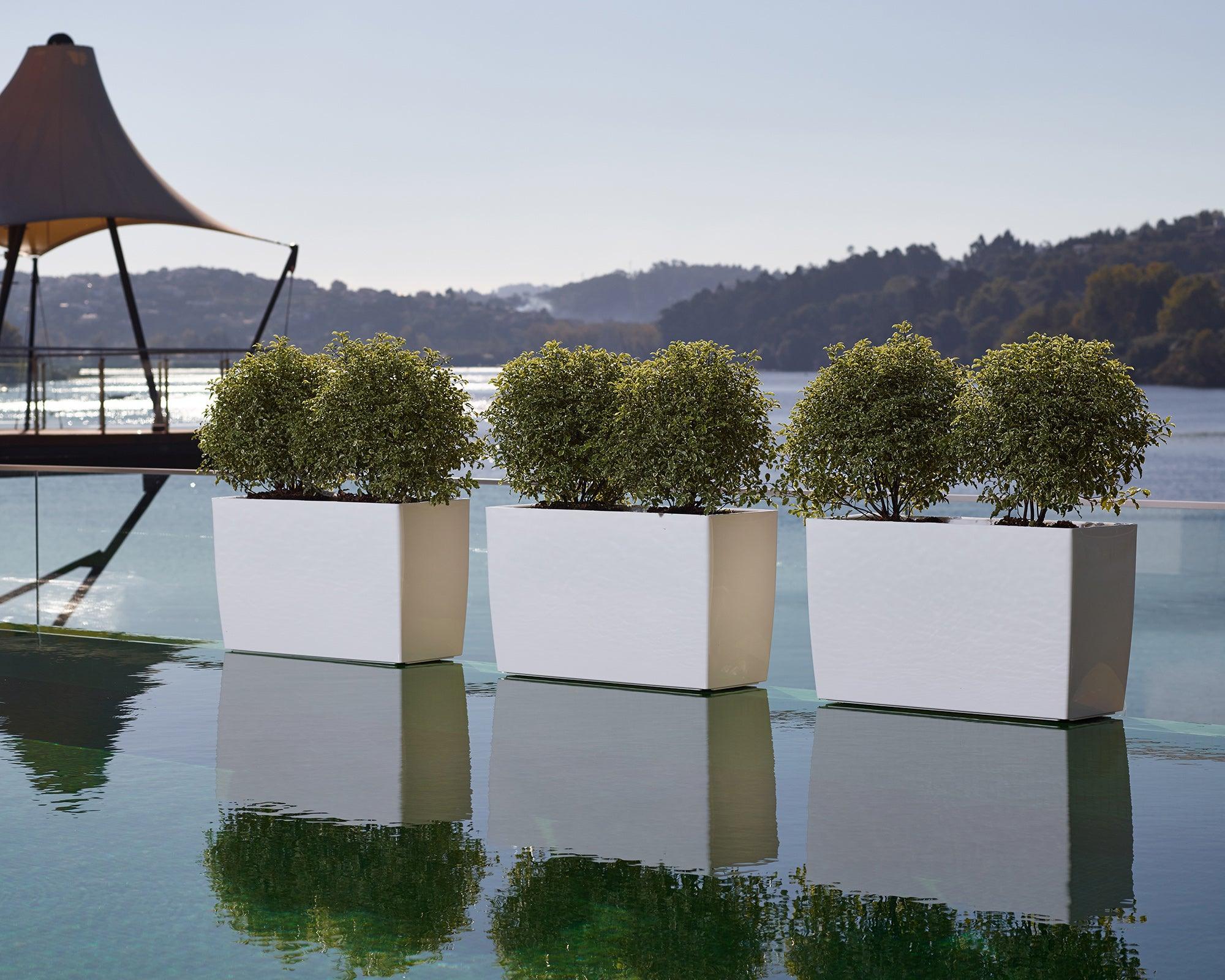 Marbella Rectangular planter - THE GARDEN CENTRE