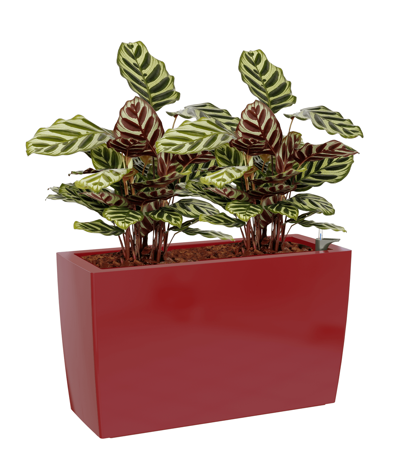 Marbella Rectangular planter - THE GARDEN CENTRE