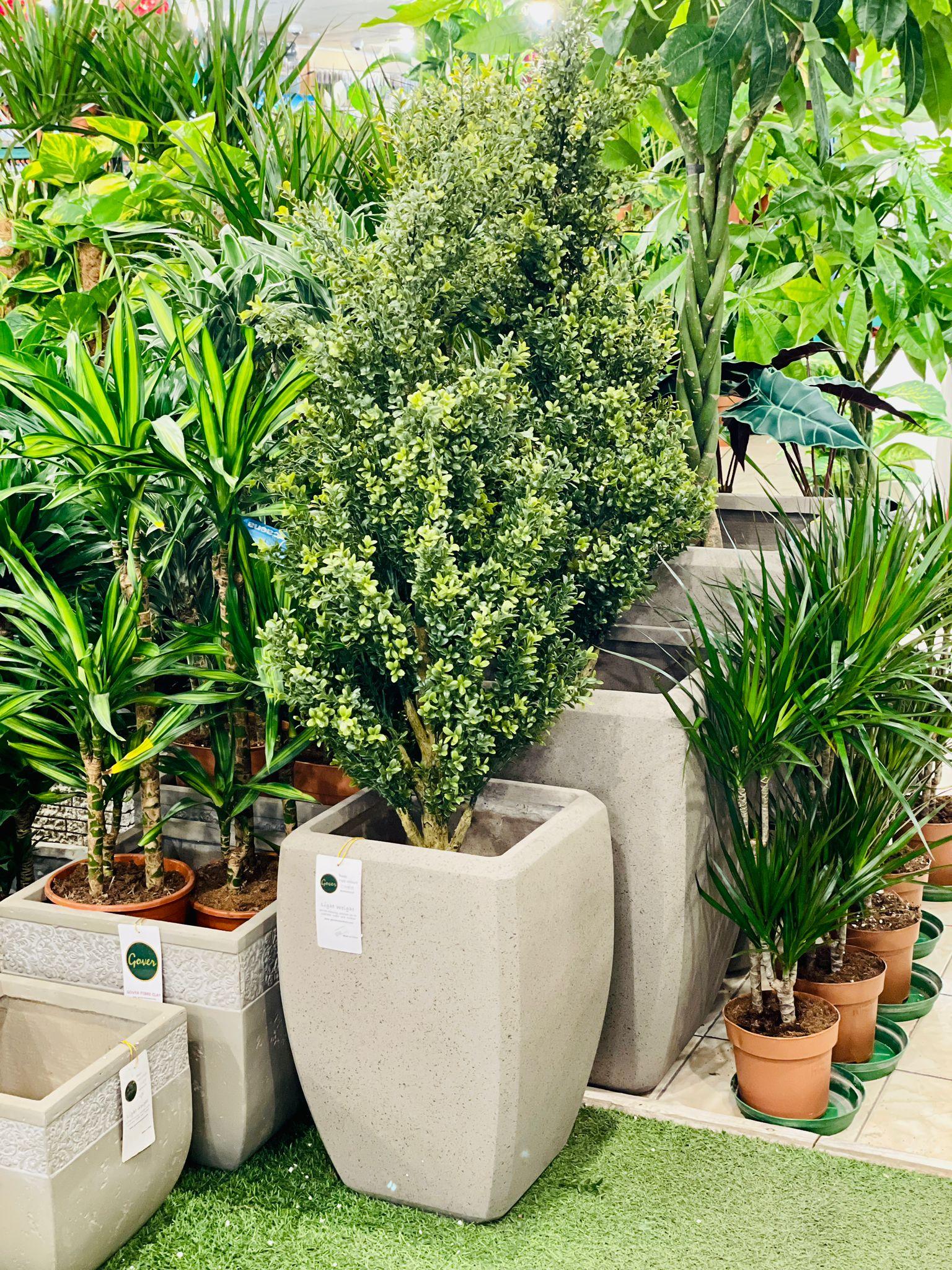 Mini Murayya Tree Artificial - THE GARDEN CENTRE