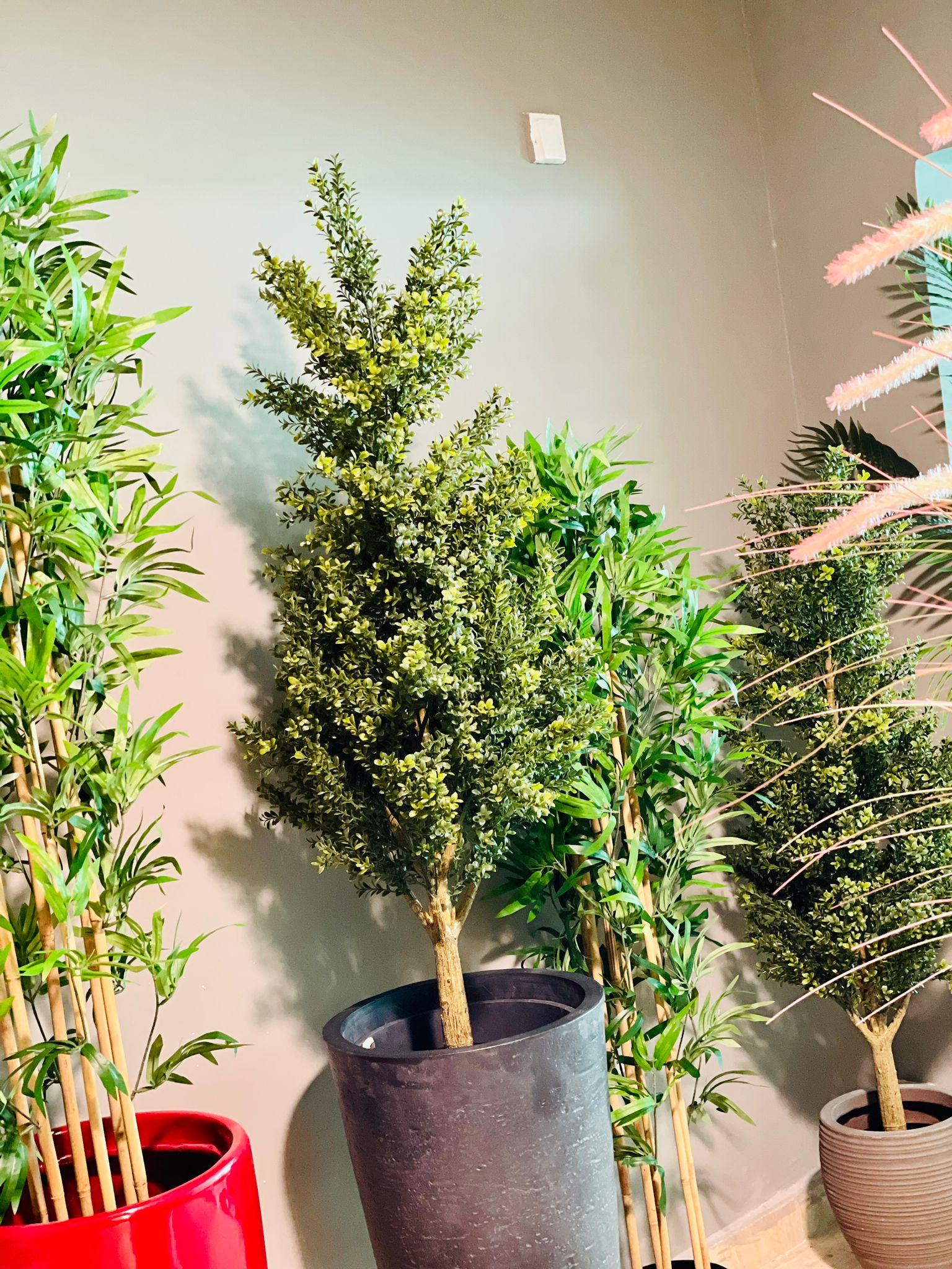 Mini Murayya Tree Artificial - THE GARDEN CENTRE