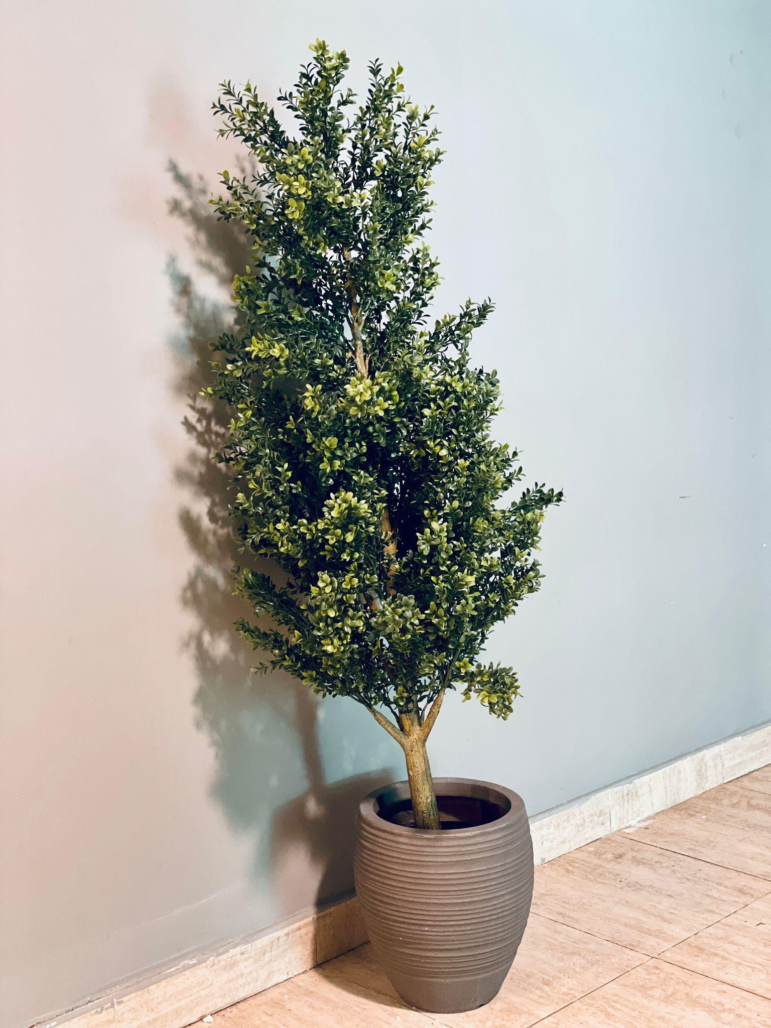 Mini Murayya Tree Artificial - THE GARDEN CENTRE
