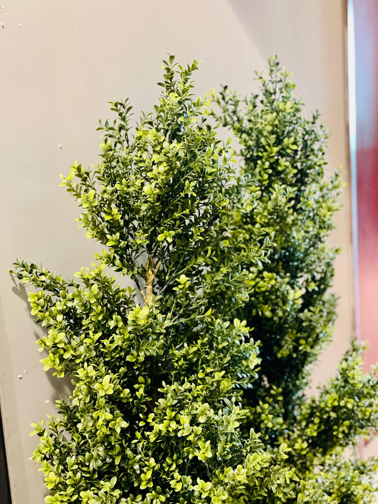 Mini Murayya Tree Artificial - THE GARDEN CENTRE