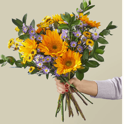 MONTE MEADOW BOUQUET - THE GARDEN CENTRE