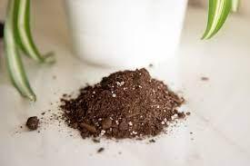 Naturahum Potting soil - THE GARDEN CENTRE