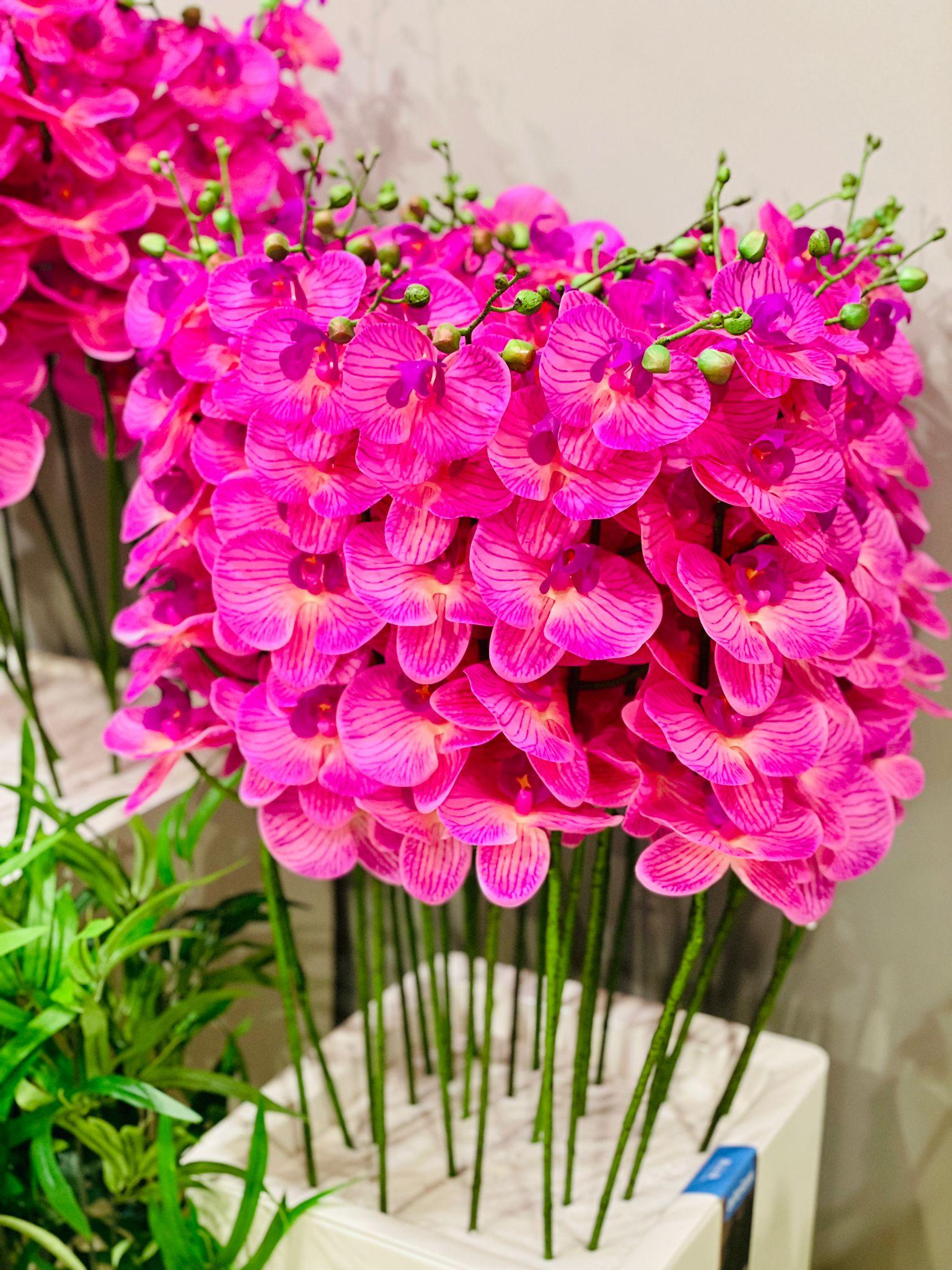 Orchid artificial - THE GARDEN CENTRE