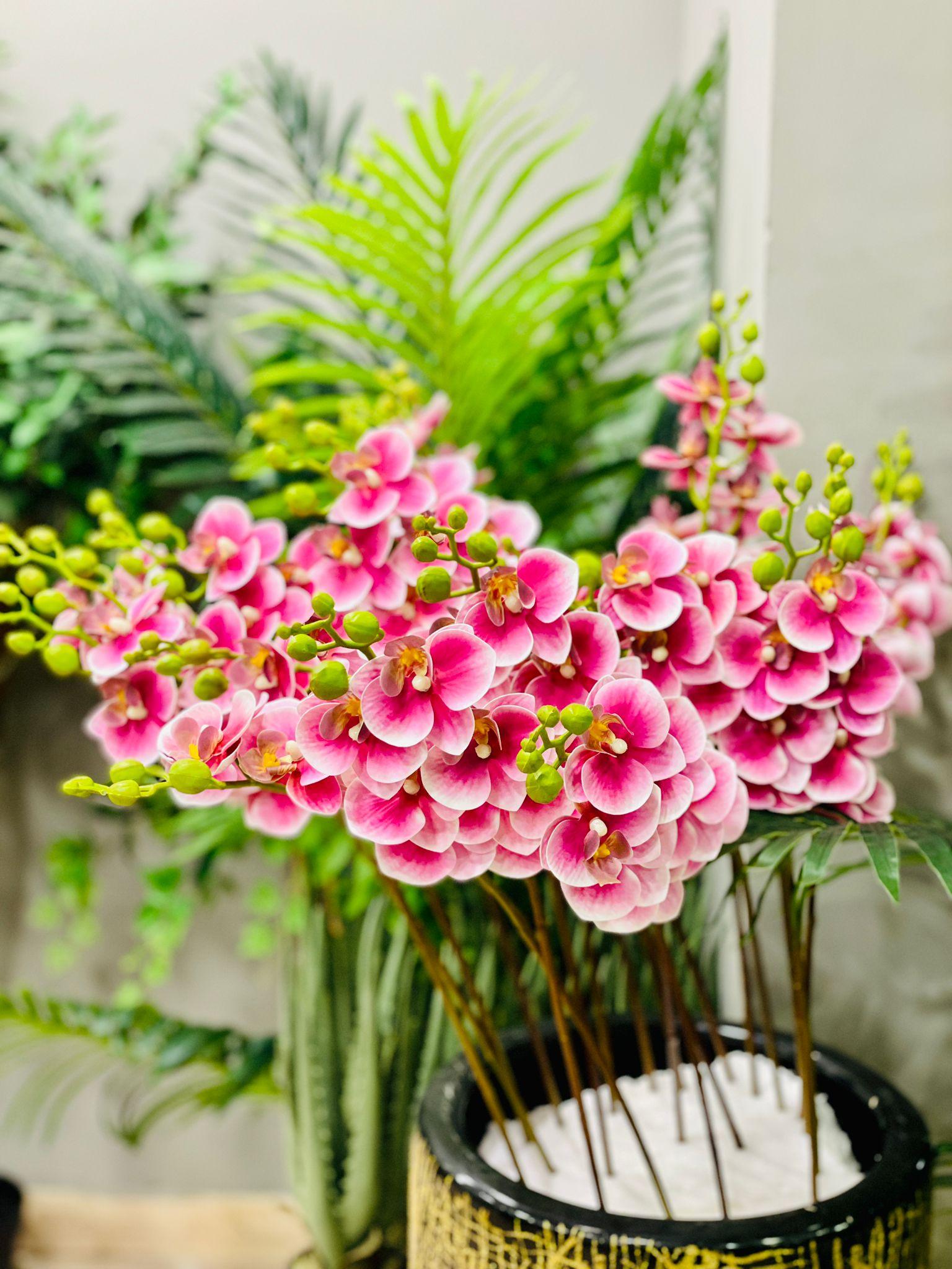 Orchid artificial - THE GARDEN CENTRE