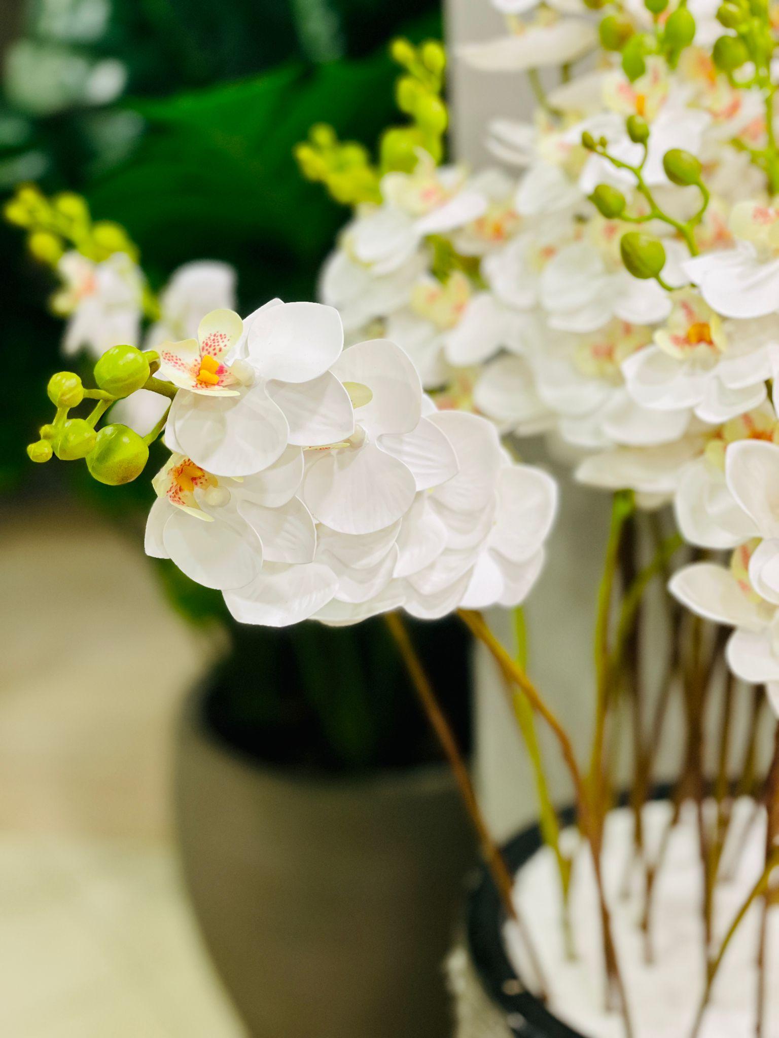 Orchid artificial - THE GARDEN CENTRE