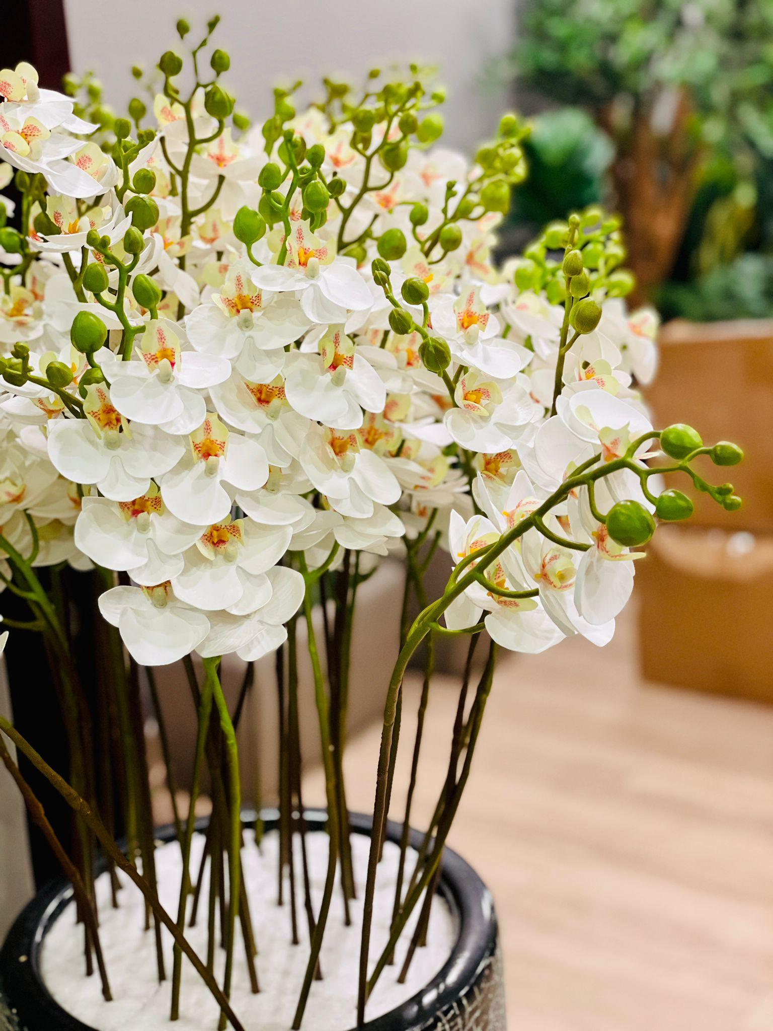 Orchid artificial - THE GARDEN CENTRE