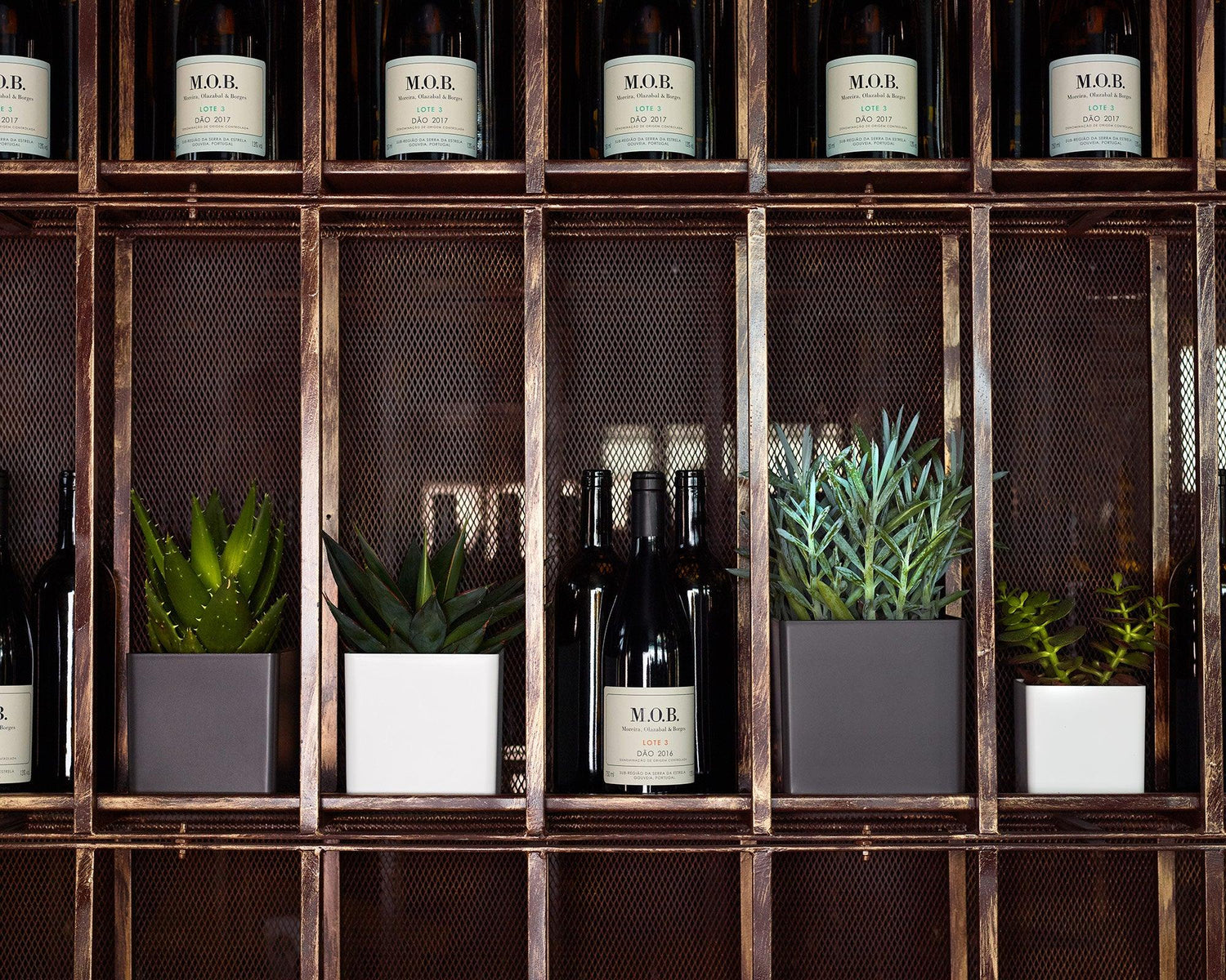 Oslo Square pot - THE GARDEN CENTRE