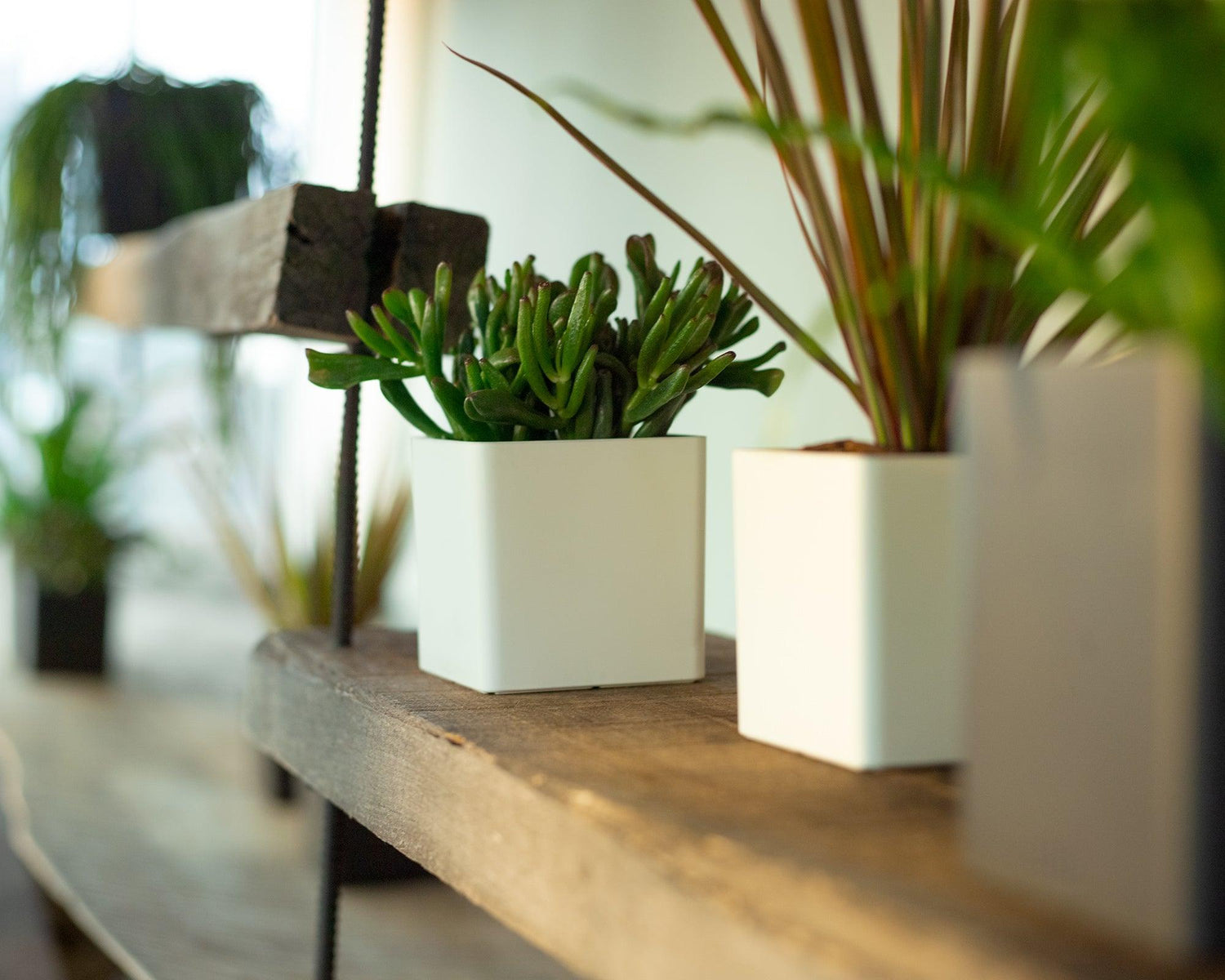 Oslo Square pot - THE GARDEN CENTRE