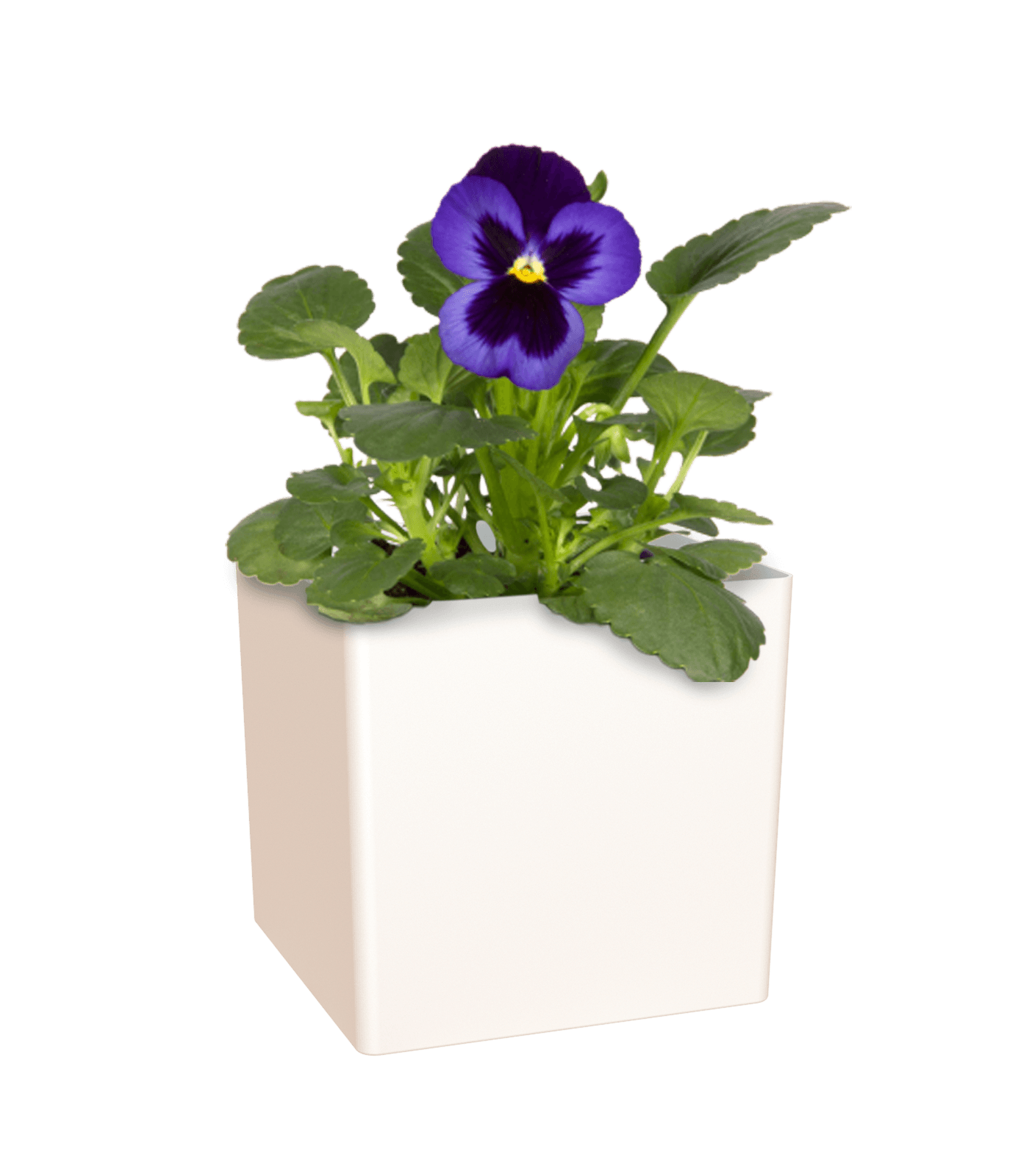 Oslo Square pot - THE GARDEN CENTRE