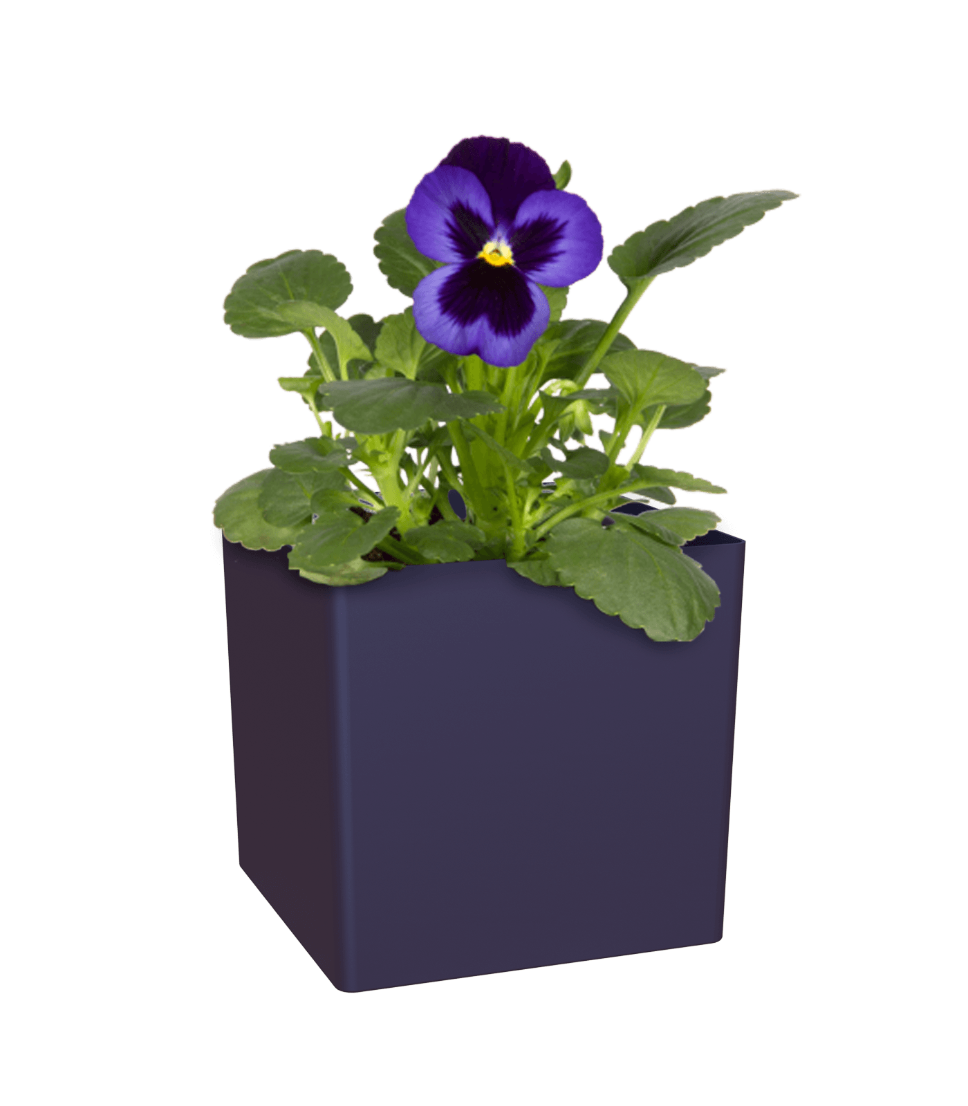 Oslo Square pot - THE GARDEN CENTRE