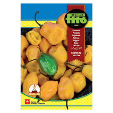 Fito Pepper Yellow