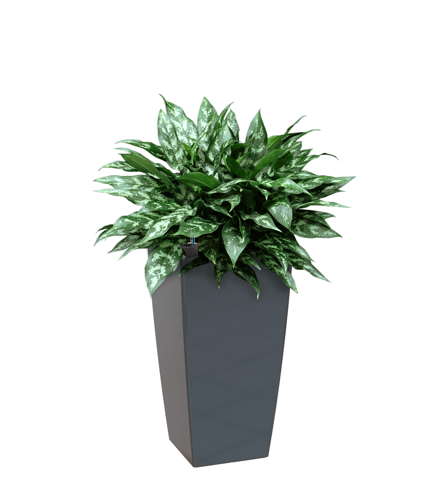 Pisa Square tall Planter - THE GARDEN CENTRE