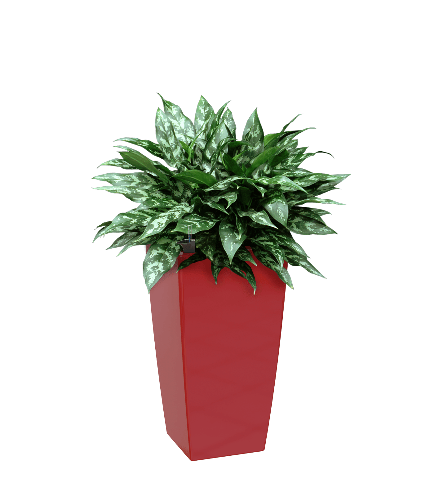 Pisa Square tall Planter - THE GARDEN CENTRE