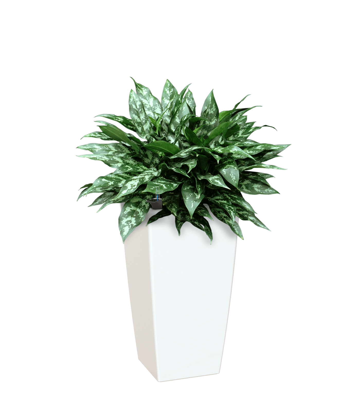 Pisa Square tall Planter - THE GARDEN CENTRE