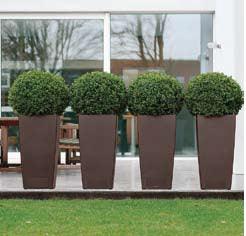 Polo Square pot - THE GARDEN CENTRE