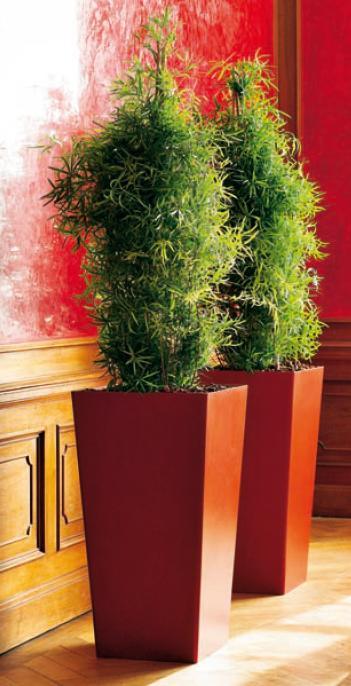 Polo Square pot - THE GARDEN CENTRE