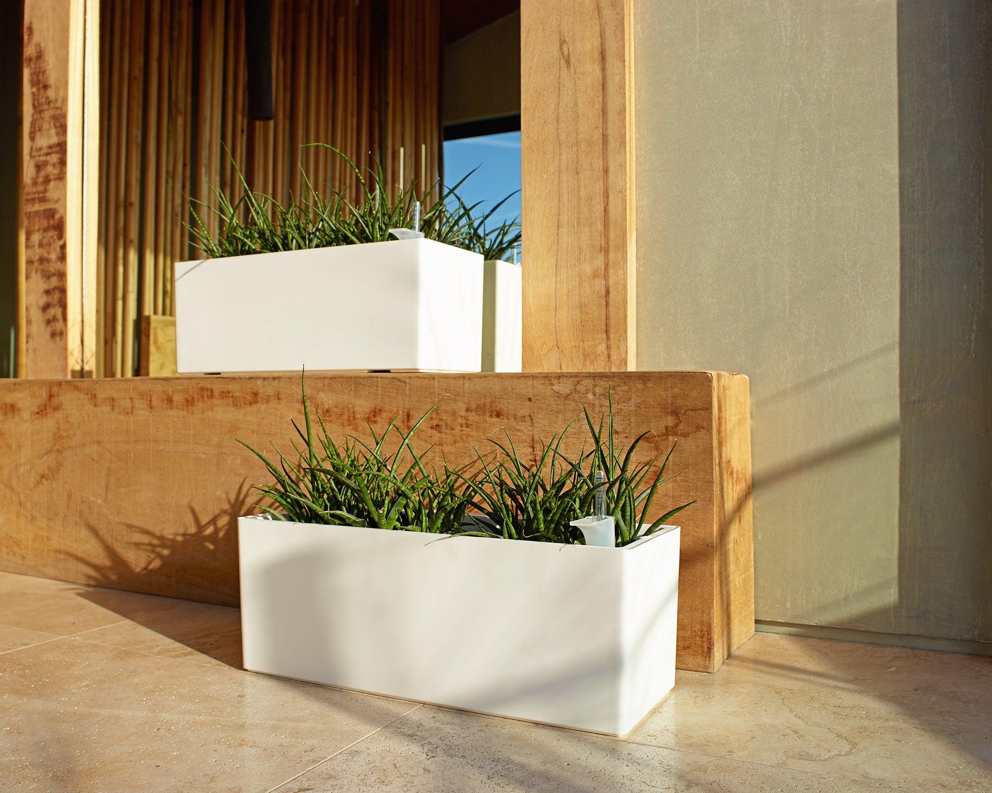 Rimini Rectangular Pot - THE GARDEN CENTRE