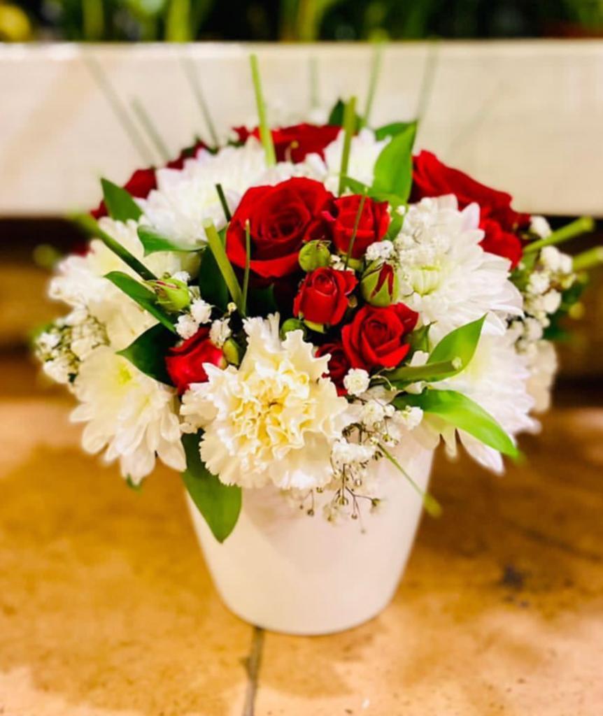 San Remo Arrangement - THE GARDEN CENTRE