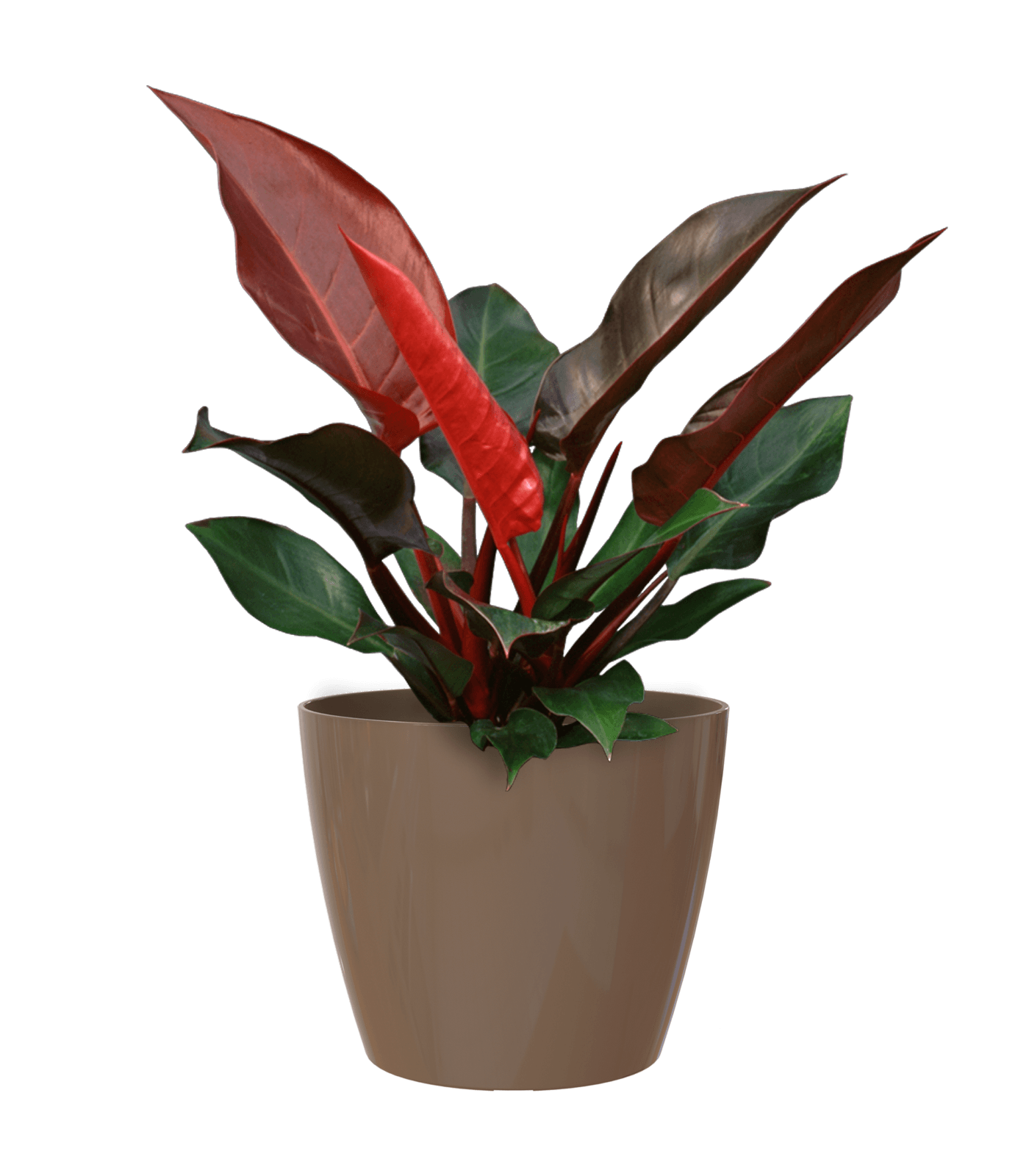 San remo planter - THE GARDEN CENTRE