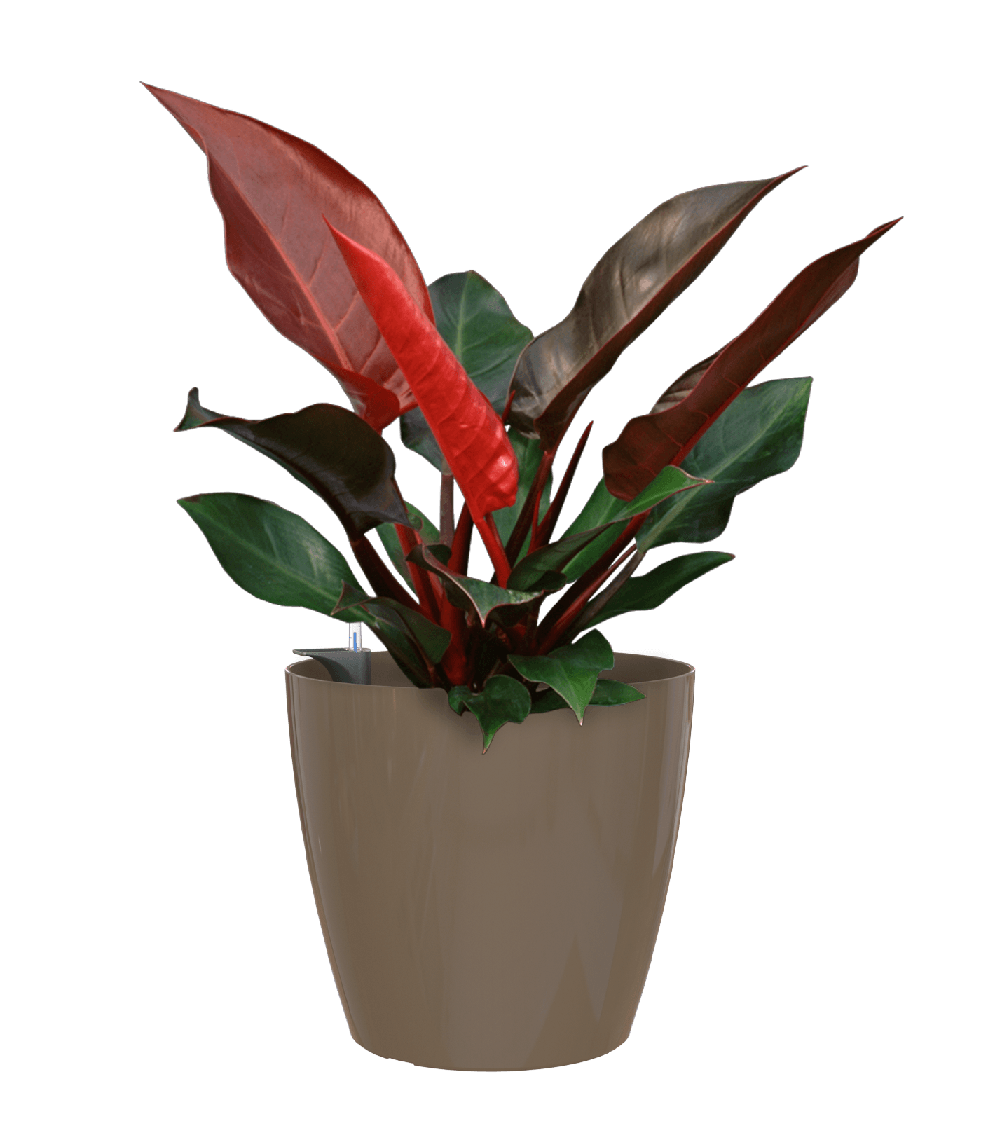 San remo planter - THE GARDEN CENTRE